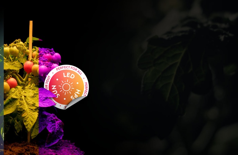 Питательные вещества CANNA: Идеально подходят для всех источников освещения, включая LED, ДНаТ и естественный солнечный свет