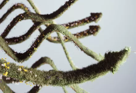 How to use all the tools in your toolbox with plant steering